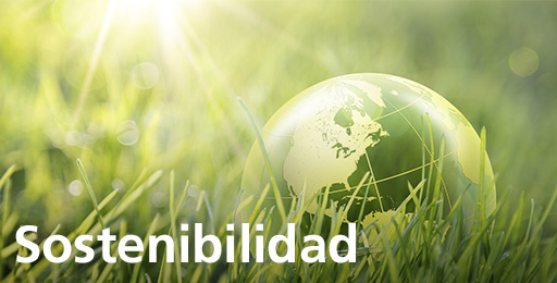Responsibilidad Social Corporativa